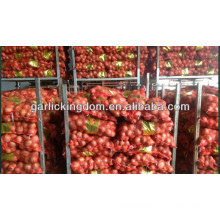 fresh red onion new corp/20kg fresh onion/yellow onion for sale